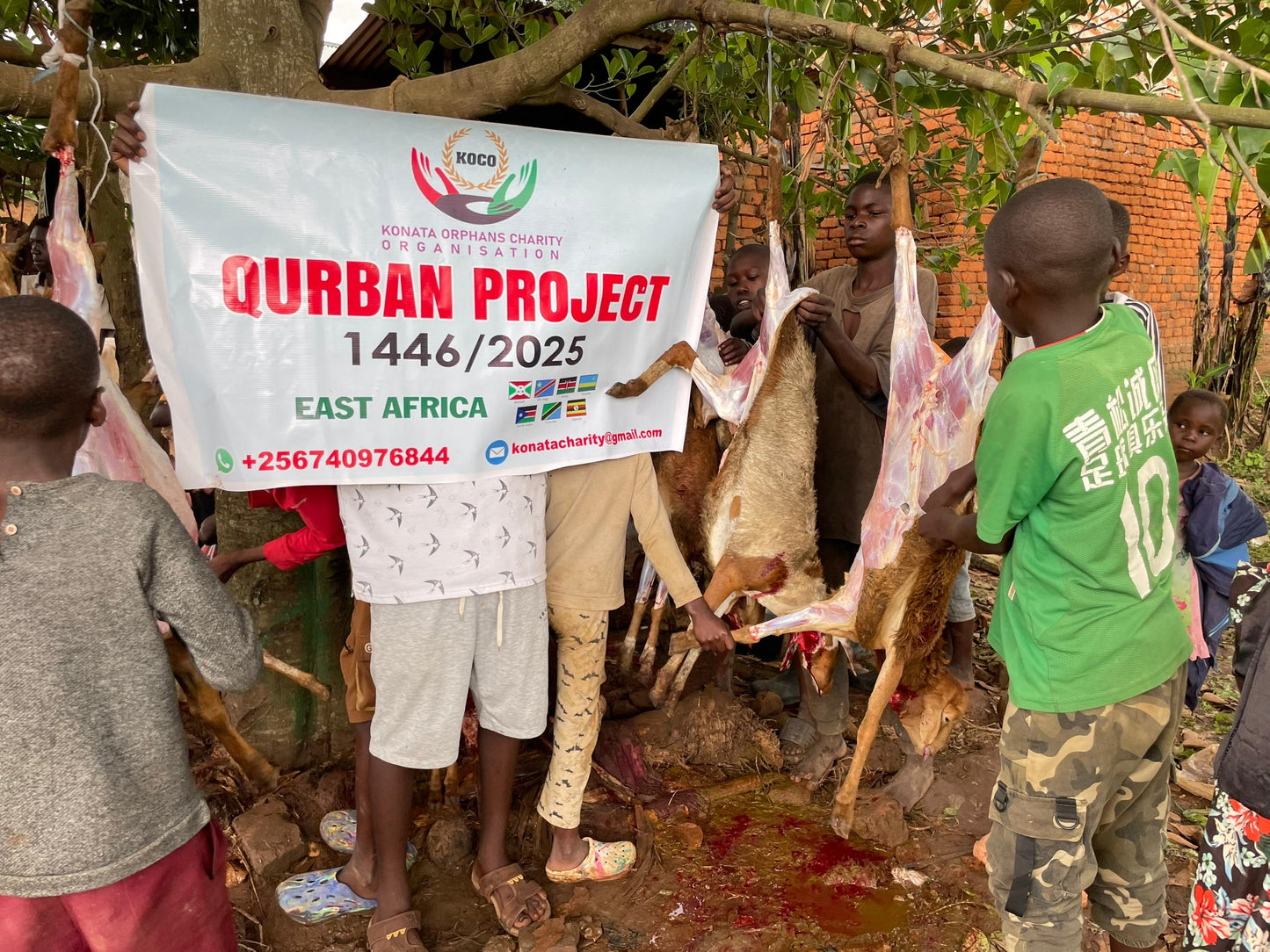 Uganda/Sudan Refugees (Goat)