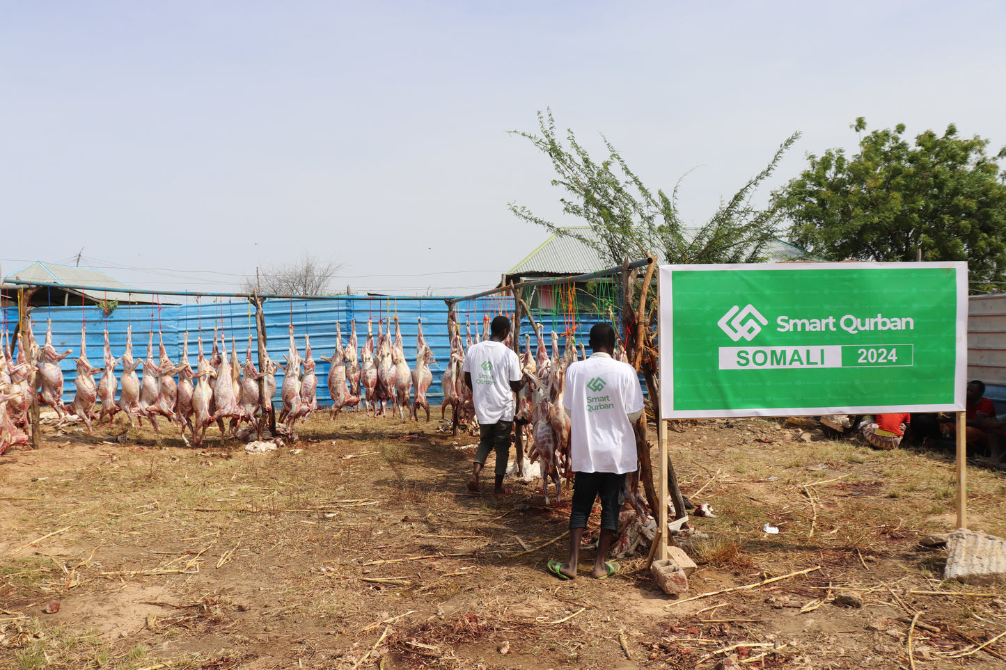 Somalia (Goat)