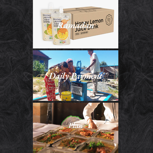 Ramadan Daily Giving Plan