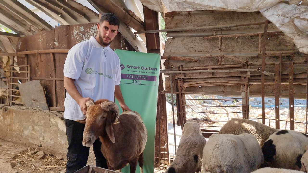 Goat Sadaqah for Gaza (Charity Contribution)
