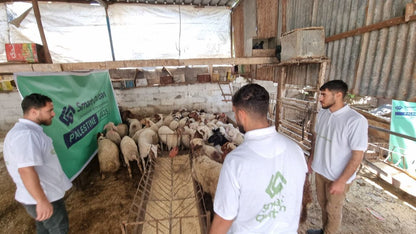 Goat Sadaqah for Gaza (Charity Contribution)